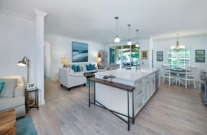 Naples Fl Condo Remodel Living Room