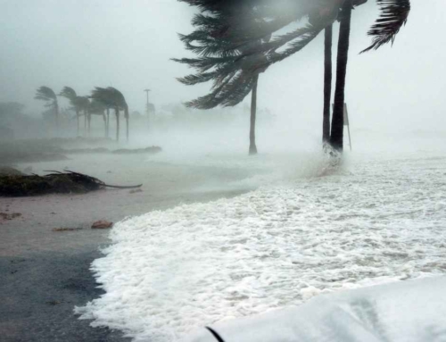 Top 5 Tips to Storm Damage Cleanup after a Hurricane